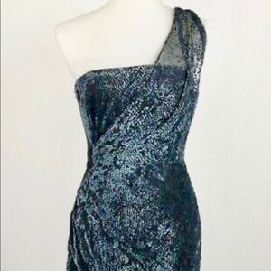One shoulder velvet burn out dress. New w/ tags